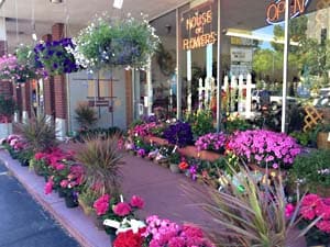 Family Flowers Springfield Mo | Best Flower Site